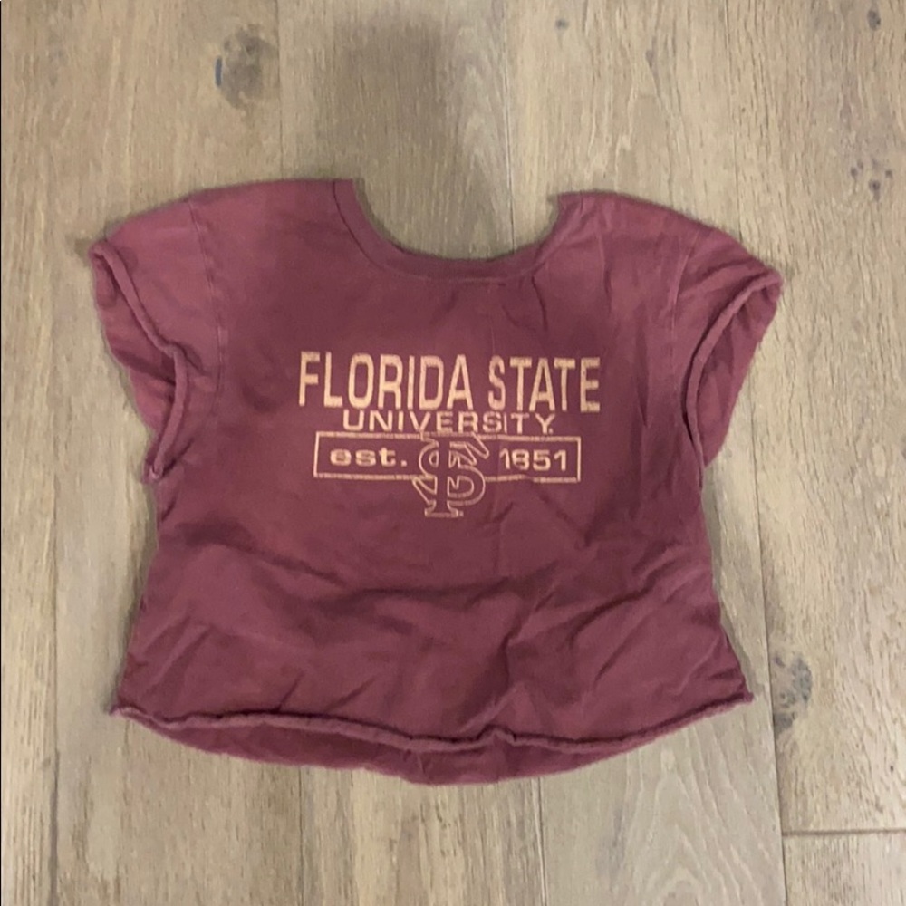 Florida State Crop Top